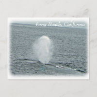 Carte postale Great Long Beach Whale !