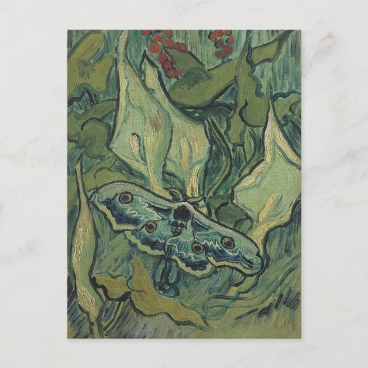 Carte Postale Great Peacock Moth by Vincent van Gogh (Devant)