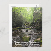 Carte postale Great Smoky Mountain National Park (Devant / Derrière)