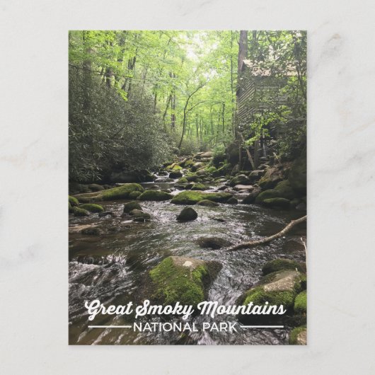 Carte postale Great Smoky Mountain National Park (Devant)