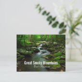 Carte postale Great Smoky Mountains (Debout devant)