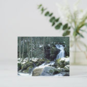 Carte Postale Great Smoky Mountains, CN (Debout devant)