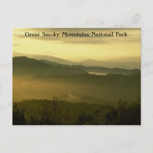 Carte Postale Great Smoky Mountains National Park Dawn (Devant)