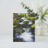 Carte Postale Great Smoky Mountains National Park, Tennessee (Debout devant)