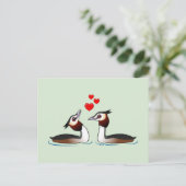 Carte Postale Grèbes en amour (Debout devant)