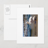Carte Postale Grèce Mykonos PETROS (St.K. (Devant / Derrière)