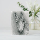 Carte Postale Greco (Debout devant)