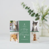 Carte postale Green 4 Photo Pet Holiday (Debout devant)