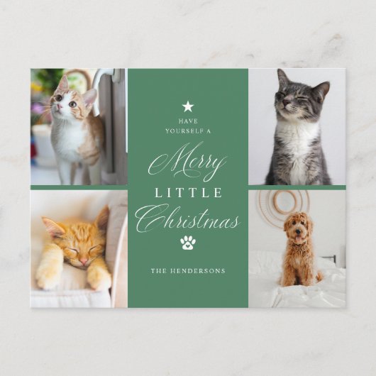 Carte postale Green 4 Photo Pet Holiday (Devant)