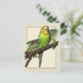 Carte postale Green Budgie Art (Debout devant)