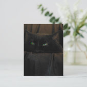 Carte postale Green Cat Eyes (Debout devant)