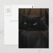 Carte postale Green Cat Eyes (Devant / Derrière)