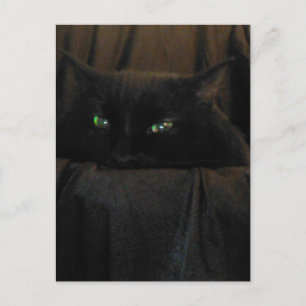 Carte postale Green Cat Eyes