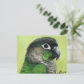 Carte postale "Green Cheeked Conure" Oiseau Art (Debout devant)