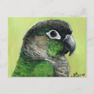 Carte postale "Green Cheeked Conure" Oiseau Art