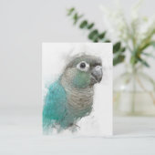 Carte postale Green Conure n° 3 (Debout devant)