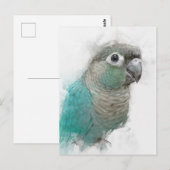 Carte postale Green Conure n° 3 (Devant / Derrière)