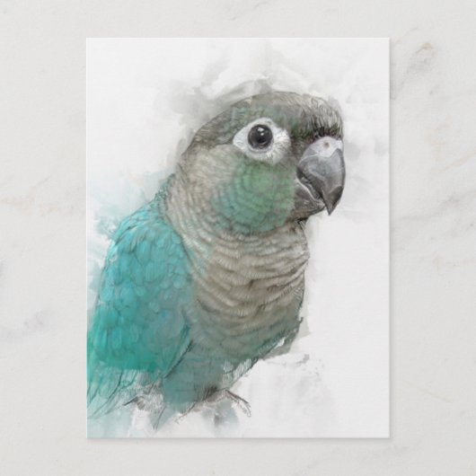 Carte postale Green Conure n° 3 (Devant)