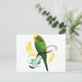 Carte Postale Green English Budgie (Debout devant)