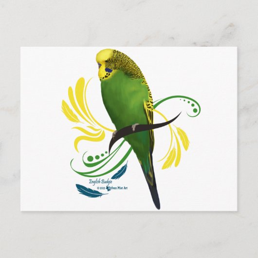 Carte Postale Green English Budgie (Devant)