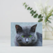 Carte postale Green Eyed Cat (Debout devant)