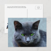 Carte postale Green Eyed Cat (Devant / Derrière)