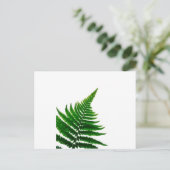 Carte Postale Green Fern Print Woodlands Leaf (Debout devant)