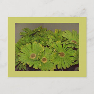 Carte Postale Green Flower Power