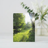 Carte Postale Green Forest Meadow (Debout devant)