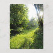 Carte Postale Green Forest Meadow (Devant)
