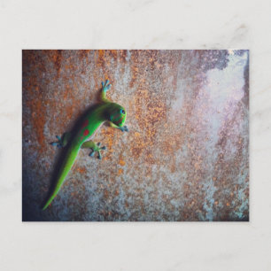 Carte postale Green Gecko