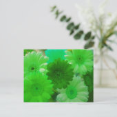 Carte postale Green Gerbera Daisy (Debout devant)
