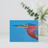 Carte postale Green Heron (Debout devant)