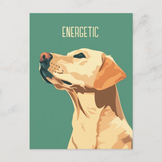 Carte Postale Green Labrador Retriever (Devant)