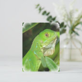 Carte postale Green Lizard (Debout devant)