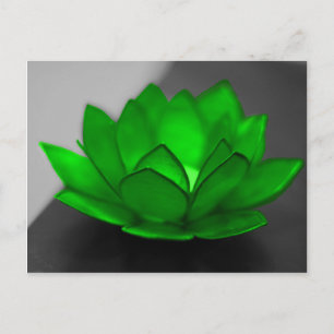 Carte Postale Green Lotus