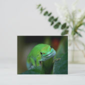 Carte Postale Green Madagascar Day Gecko (Debout devant)
