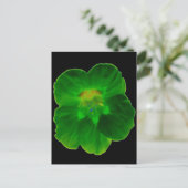 Carte Postale Green Nasturtium (Debout devant)