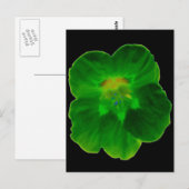 Carte Postale Green Nasturtium (Devant / Derrière)