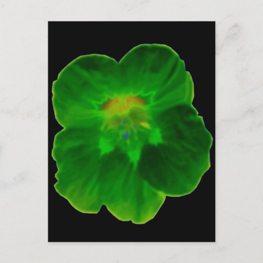 Carte Postale Green Nasturtium (Devant)
