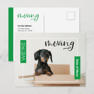 Carte Postale Green Nous déménageons Dachshund Chien dans la boî