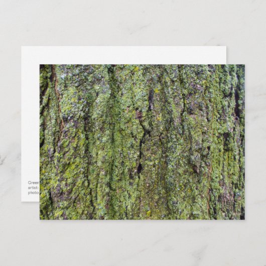 Carte Postale Green on Tree Bark (Devant / Derrière)