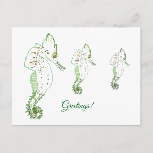 Carte postale Green Sea HorseGreys