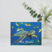 Carte postale Green Sea Turtle (Debout devant)