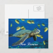 Carte postale Green Sea Turtle (Devant / Derrière)