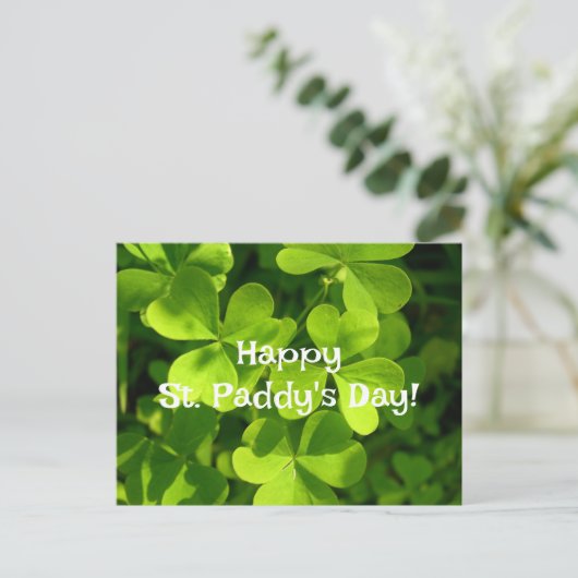 Carte Postale Green Shamrocks, St Paddy's Day Post (Debout devant)