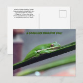 Carte postale Green Treefrog Good Luck (Devant / Derrière)