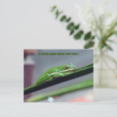 Carte postale Green Treefrog Good Luck (Debout devant)