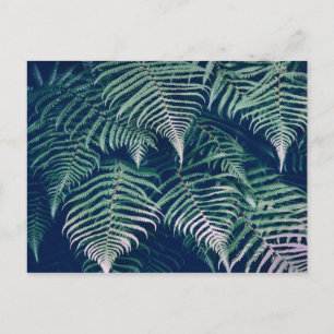 Carte Postale Green Tropical Fern Feuilles Motif naturel