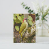 Carte postale Green Woodpecker (Debout devant)